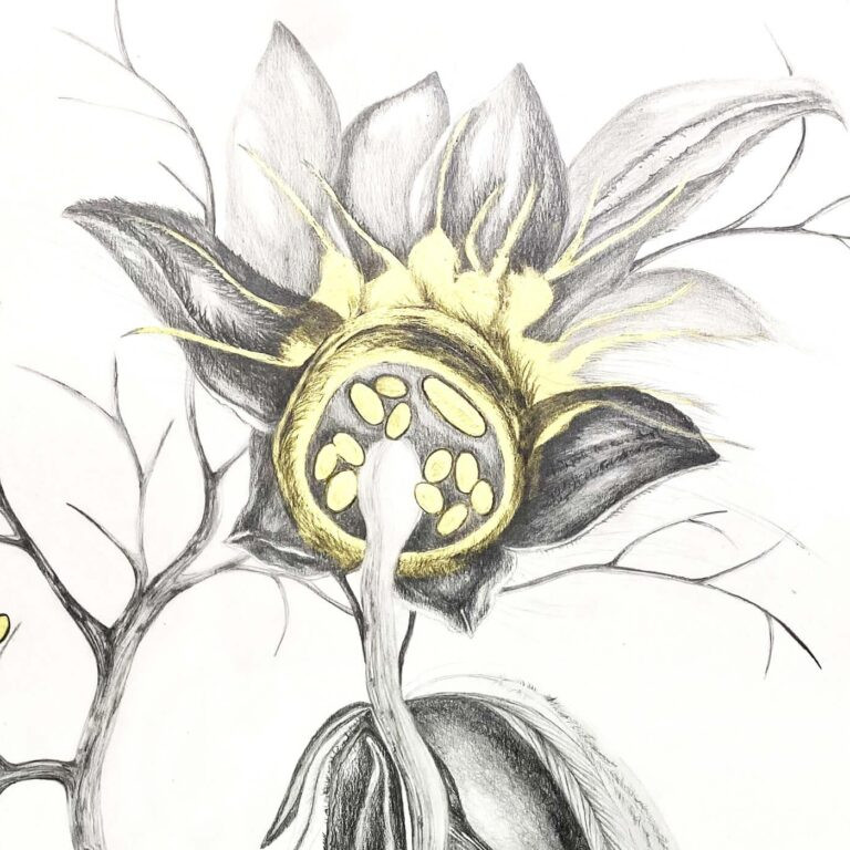 2 - Sustancias Futuras - Melina Lobue