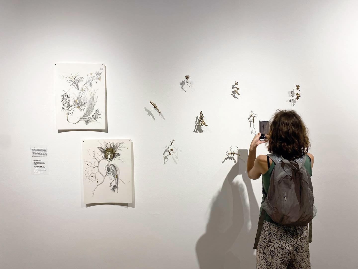 Centro Cultural Rojas - Galería 2023